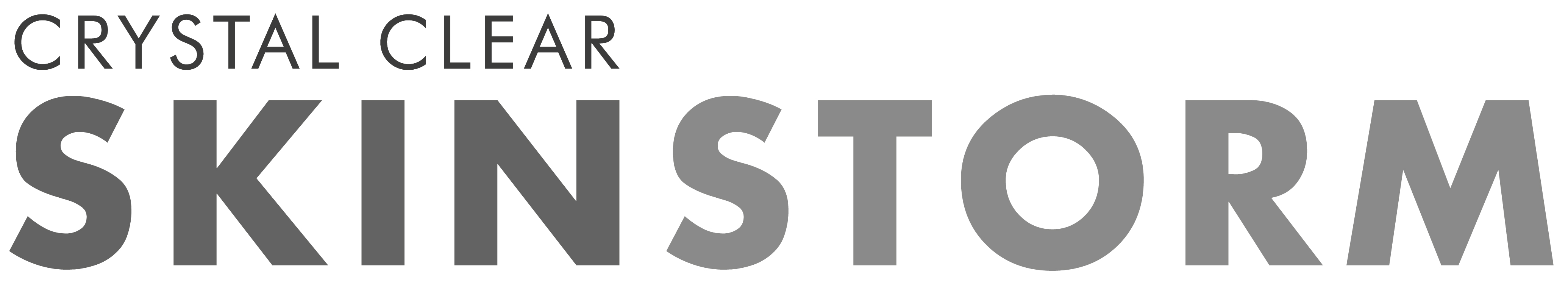 SkinStorm logo
