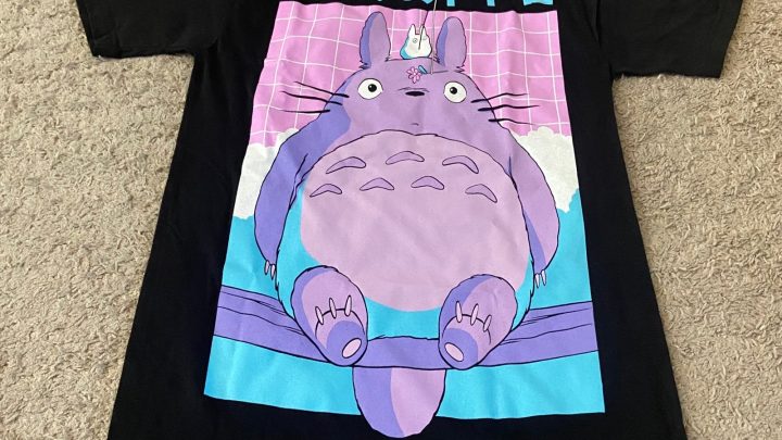 Studio Ghibli Merch: Where Dreams Come to Life