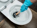 Knights Plumbing and Drain: Expert Solutions for Residential Plumbing